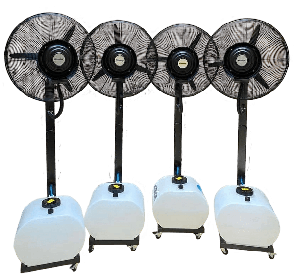 Misty Fan